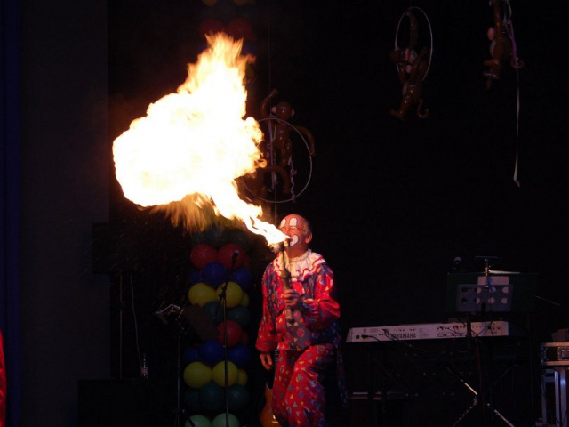 KiMaBa 2010