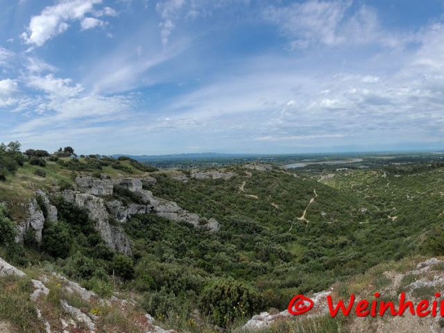 Cavaillon 2024