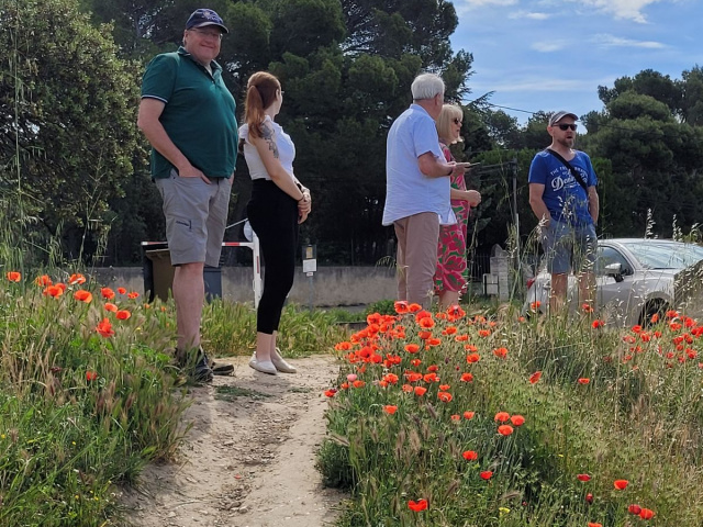 Cavaillon 2024