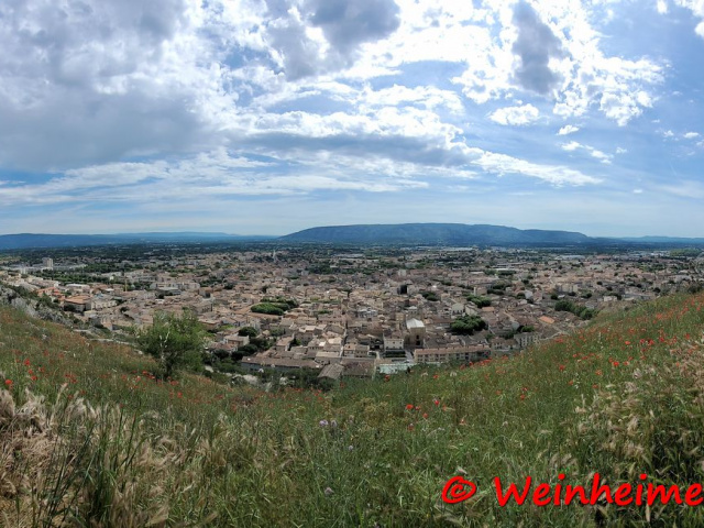 Cavaillon 2024