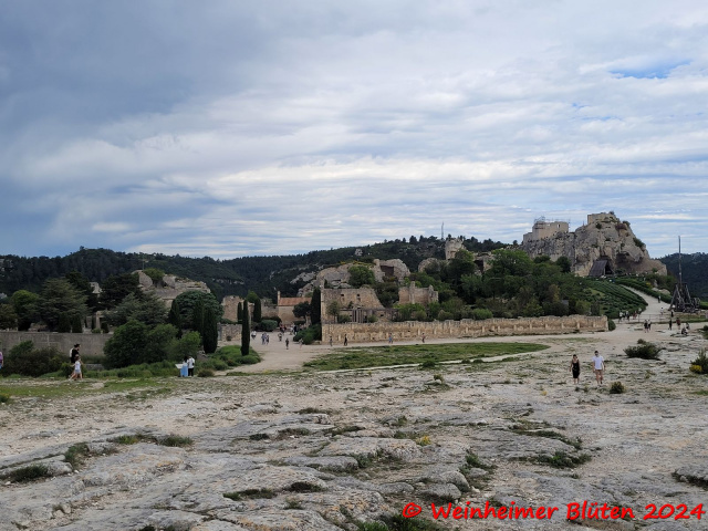 Cavaillon 2024