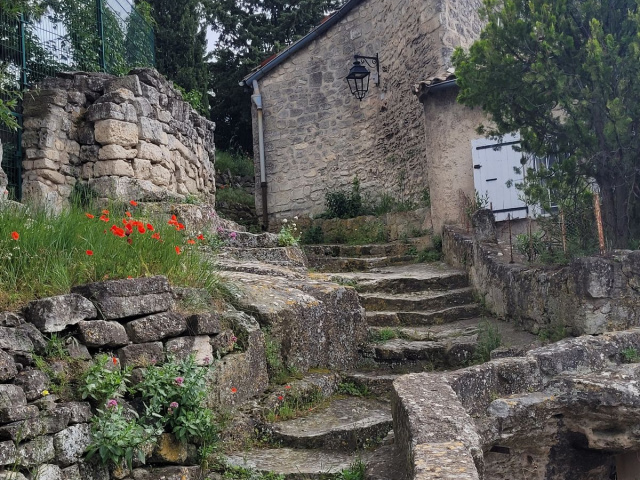 Cavaillon 2024