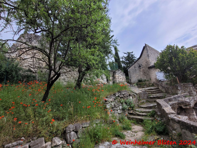 Cavaillon 2024