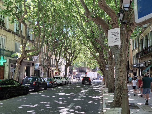 Cavaillon_2025_20250530_140204