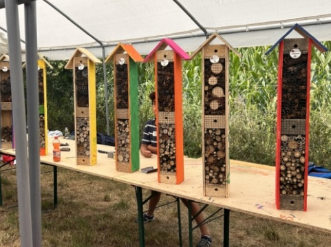 2026 Ferienspiele bei Weinheimer Blüten 🌸