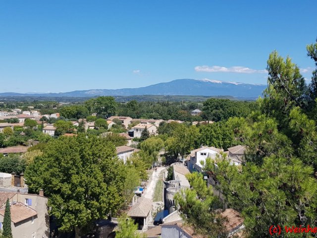2021-Cavaillon-003