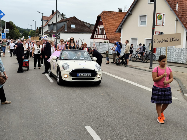 Festumzug Neresheim 2024