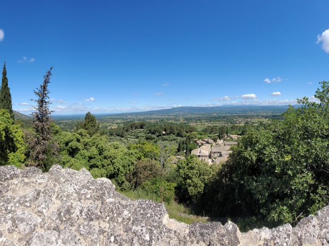 Die Blüten in Cavaillon